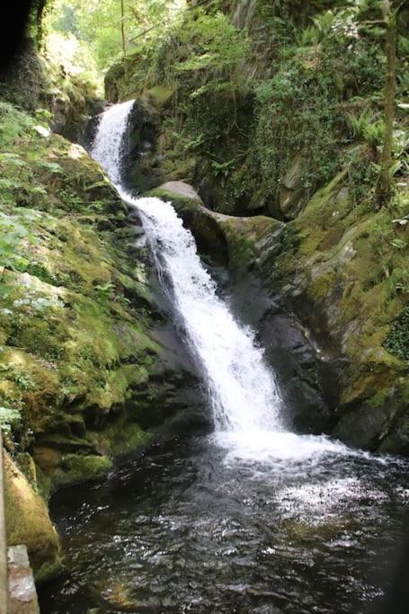 Garn Lodge ニュータウン エクステリア 写真