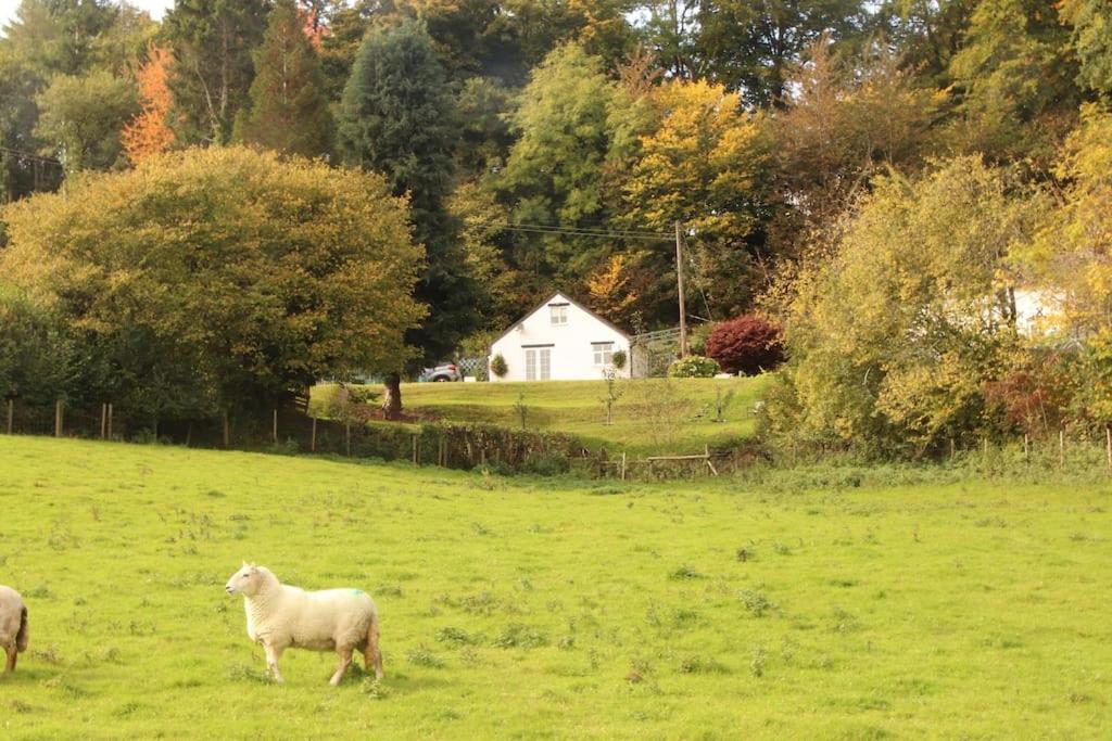Garn Lodge ニュータウン エクステリア 写真